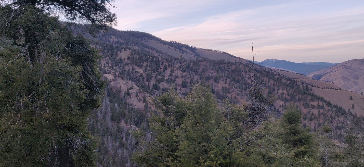 The Bobcat Project area in Lemhi County, Idaho